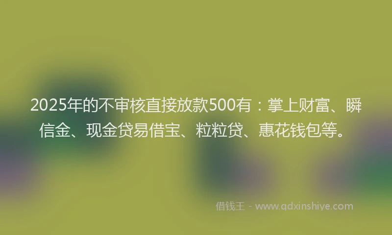 2025年的不审核直接放款500有：掌上财富、瞬信金、现金贷易借宝、粒粒贷、惠花钱包等。