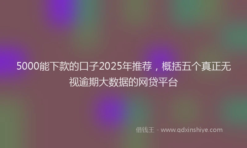 5000能下款的口子2025年推荐，概括五个真正无视逾期大数据的网贷平台