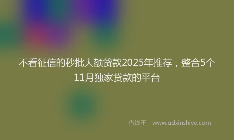 不看征信的秒批大额贷款2025年推荐，整合5个11月独家贷款的平台