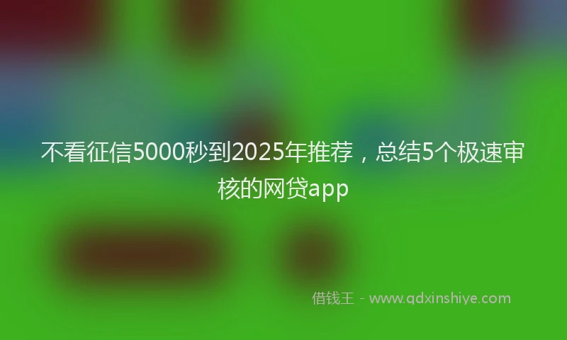 不看征信5000秒到2025年推荐，总结5个极速审核的网贷app