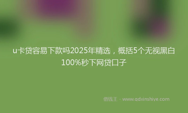 u卡贷容易下款吗2025年精选，概括5个无视黑白100%秒下网贷口子