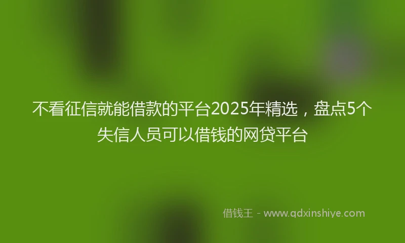 不看征信就能借款的平台2025年精选，盘点5个失信人员可以借钱的网贷平台