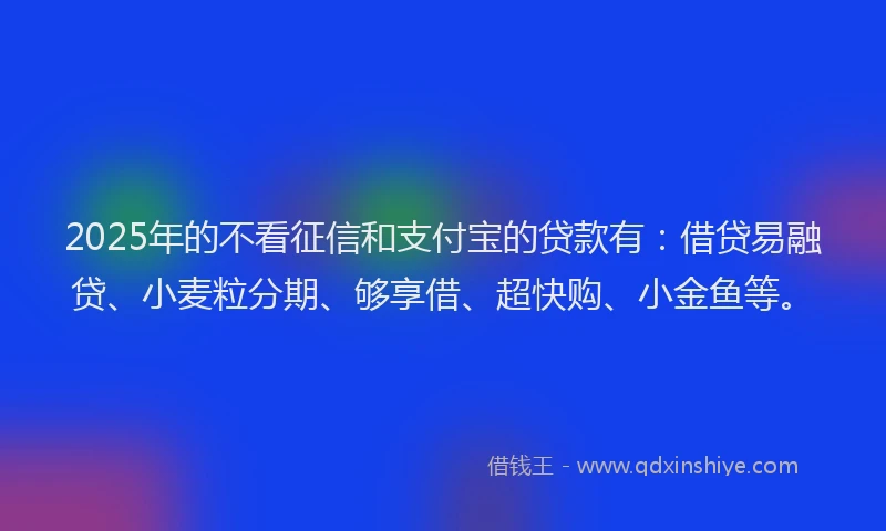 2025年的不看征信和支付宝的贷款有：借贷易融贷、小麦粒分期、够享借、超快购、小金鱼等。