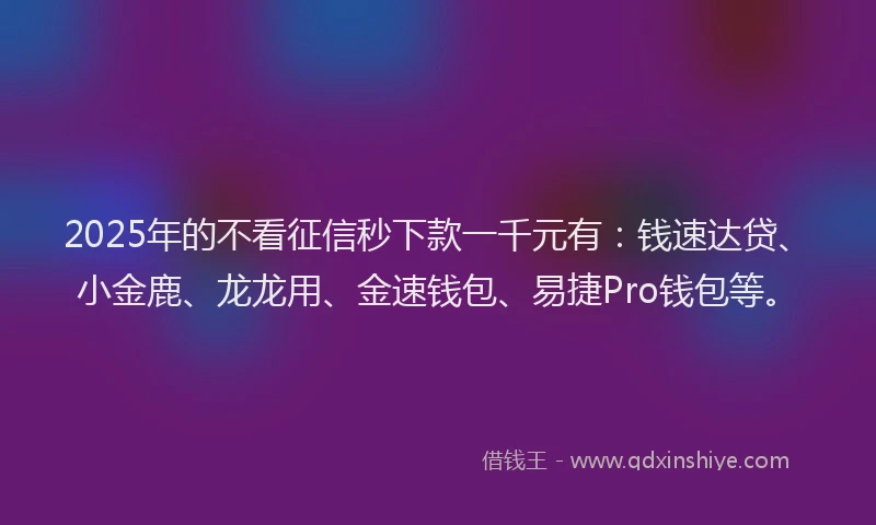 2025年的不看征信秒下款一千元有：钱速达贷、小金鹿、龙龙用、金速钱包、易捷Pro钱包等。
