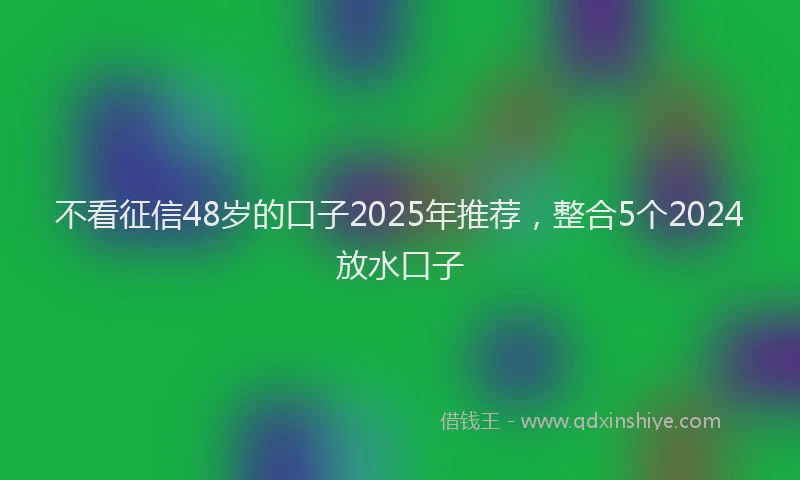 不看征信48岁的口子2025年推荐，整合5个2024放水口子