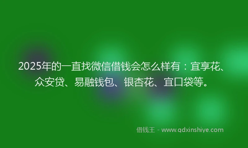 2025年的一直找微信借钱会怎么样有：宜享花、众安贷、易融钱包、银杏花、宜口袋等。