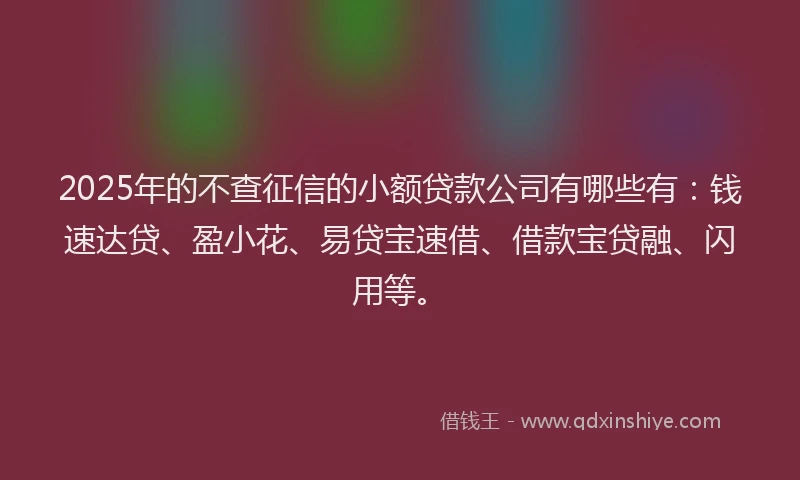 2025年的不查征信的小额贷款公司有哪些有：钱速达贷、盈小花、易贷宝速借、借款宝贷融、闪用等。