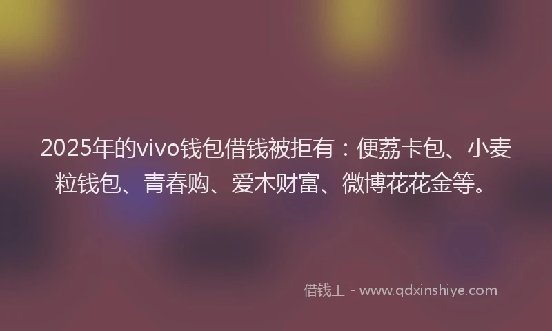 2025年的vivo钱包借钱被拒有：便荔卡包、小麦粒钱包、青春购、爱木财富、微博花花金等。