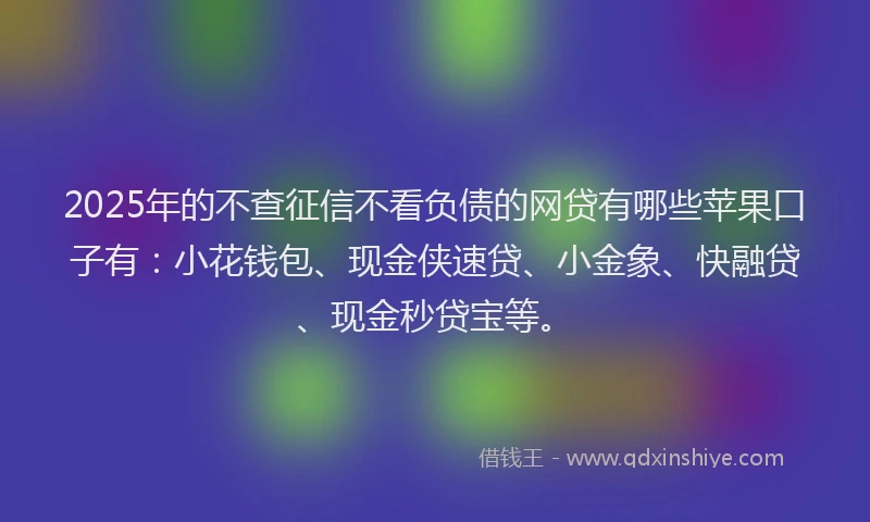 2025年的不查征信不看负债的网贷有哪些苹果口子有：小花钱包、现金侠速贷、小金象、快融贷、现金秒贷宝等。