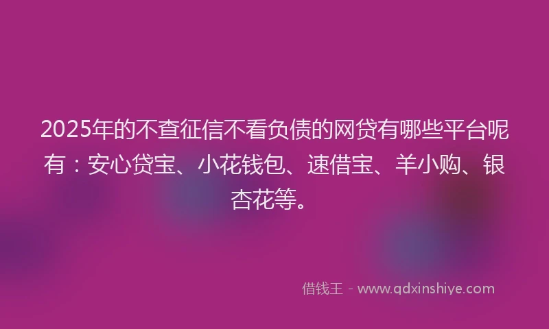 2025年的不查征信不看负债的网贷有哪些平台呢有：安心贷宝、小花钱包、速借宝、羊小购、银杏花等。
