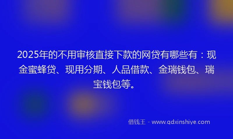 2025年的不用审核直接下款的网贷有哪些有：现金蜜蜂贷、现用分期、人品借款、金瑞钱包、瑞宝钱包等。