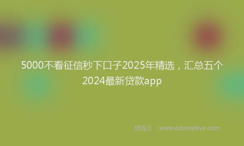 5000不看征信秒下口子2025年精选，汇总五个2024最新贷款app