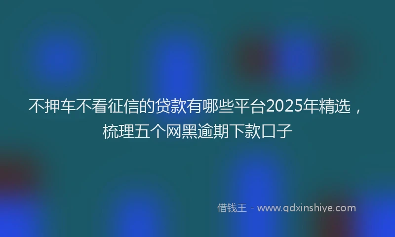 不押车不看征信的贷款有哪些平台2025年精选，梳理五个网黑逾期下款口子