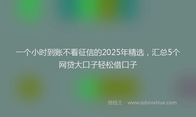 一个小时到账不看征信的2025年精选，汇总5个网贷大口子轻松借口子