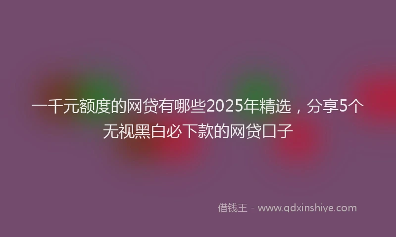 一千元额度的网贷有哪些2025年精选，分享5个无视黑白必下款的网贷口子