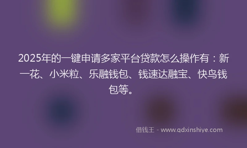 2025年的一键申请多家平台贷款怎么操作有：新一花、小米粒、乐融钱包、钱速达融宝、快鸟钱包等。