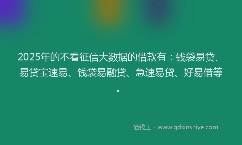 2025年的不看征信大数据的借款有：钱袋易贷、易贷宝速易、钱袋易融贷、急速易贷、好易借等。