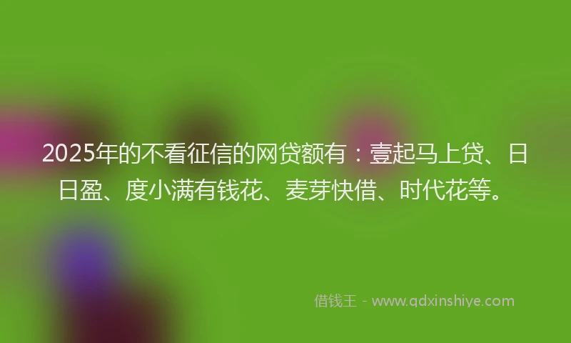 2025年的不看征信的网贷额有：壹起马上贷、日日盈、度小满有钱花、麦芽快借、时代花等。