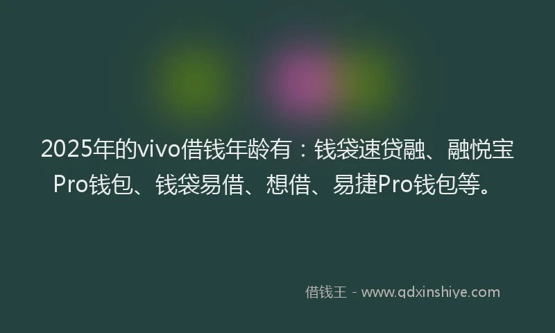 2025年的vivo借钱年龄有：钱袋速贷融、融悦宝Pro钱包、钱袋易借、想借、易捷Pro钱包等。