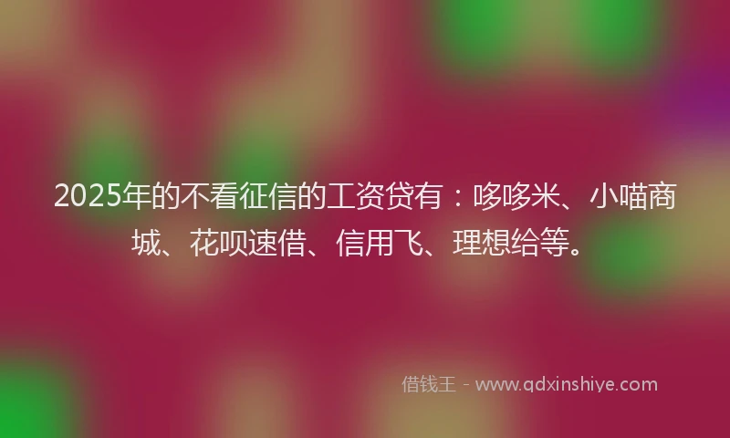 2025年的不看征信的工资贷有：哆哆米、小喵商城、花呗速借、信用飞、理想给等。