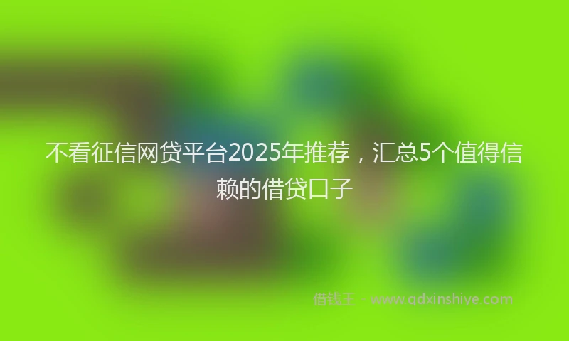 不看征信网贷平台2025年推荐，汇总5个值得信赖的借贷口子