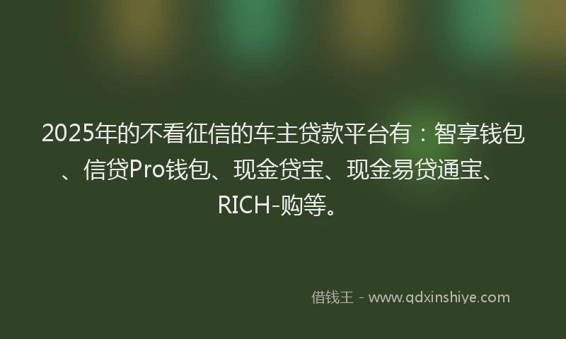 2025年的不看征信的车主贷款平台有：智享钱包、信贷Pro钱包、现金贷宝、现金易贷通宝、RICH-购等。