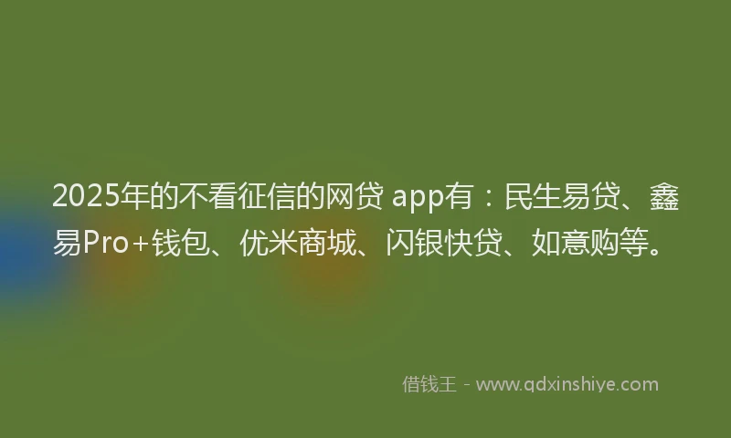 2025年的不看征信的网贷 app有：民生易贷、鑫易Pro+钱包、优米商城、闪银快贷、如意购等。