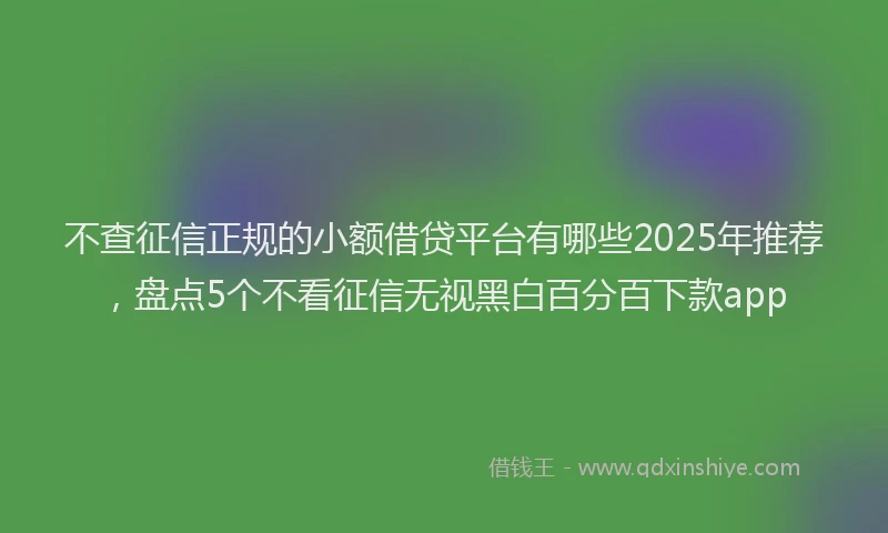 不查征信正规的小额借贷平台有哪些2025年推荐，盘点5个不看征信无视黑白百分百下款app