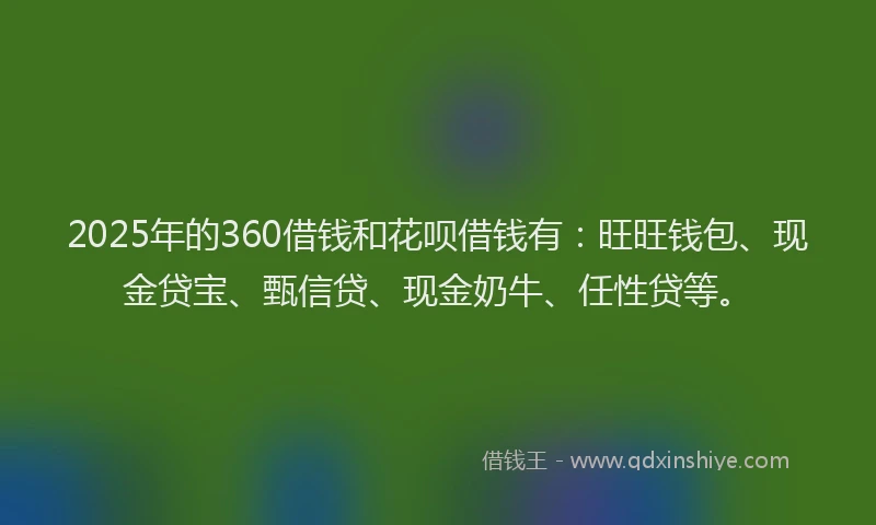 2025年的360借钱和花呗借钱有：旺旺钱包、现金贷宝、甄信贷、现金奶牛、任性贷等。