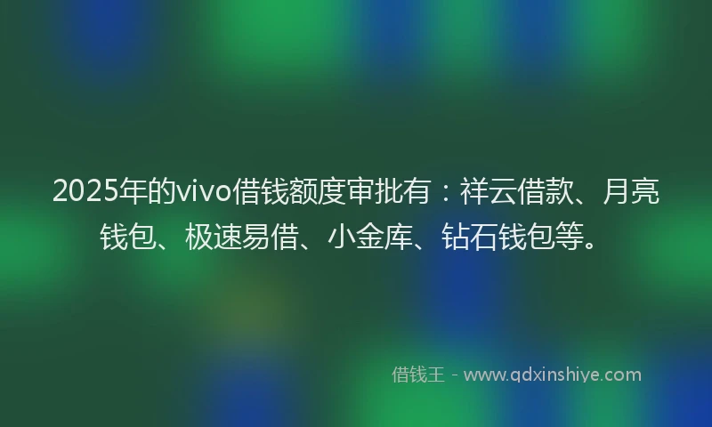 2025年的vivo借钱额度审批有：祥云借款、月亮钱包、极速易借、小金库、钻石钱包等。