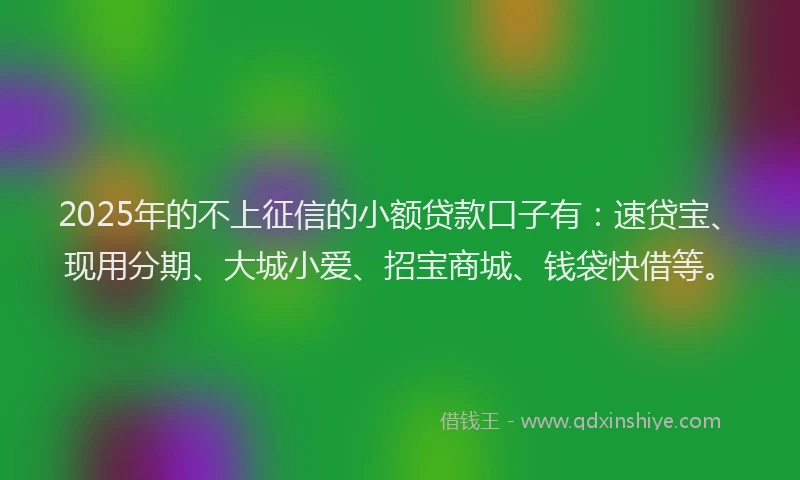 2025年的不上征信的小额贷款口子有：速贷宝、现用分期、大城小爱、招宝商城、钱袋快借等。