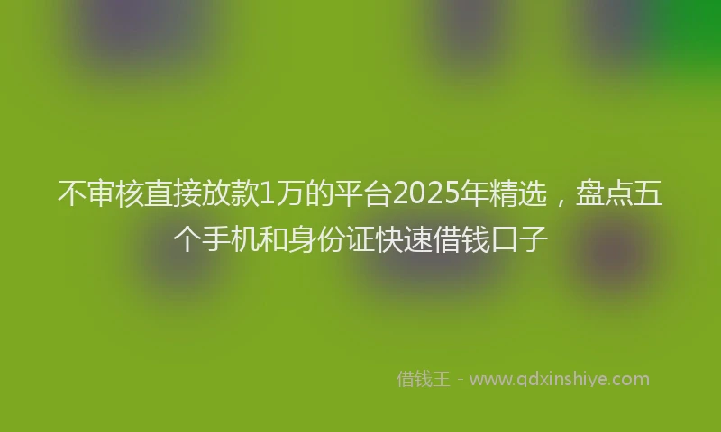 不审核直接放款1万的平台2025年精选，盘点五个手机和身份证快速借钱口子