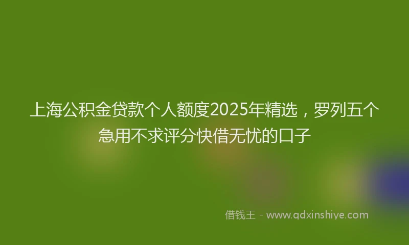 上海公积金贷款个人额度2025年精选，罗列五个急用不求评分快借无忧的口子