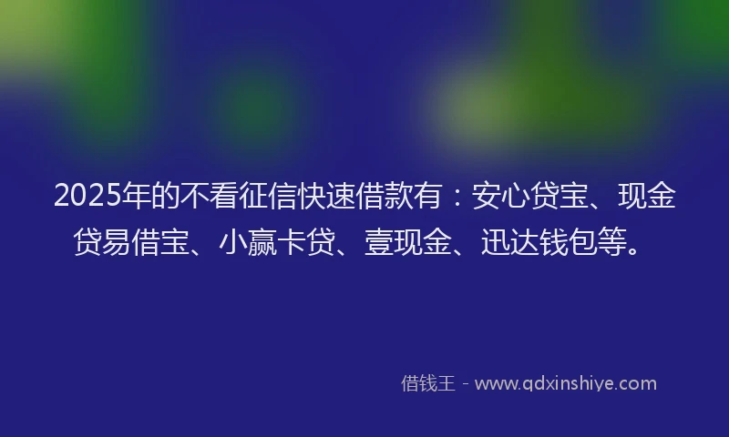 2025年的不看征信快速借款有：安心贷宝、现金贷易借宝、小赢卡贷、壹现金、迅达钱包等。