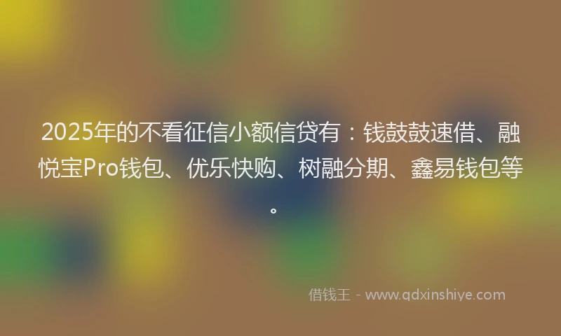2025年的不看征信小额信贷有：钱鼓鼓速借、融悦宝Pro钱包、优乐快购、树融分期、鑫易钱包等。