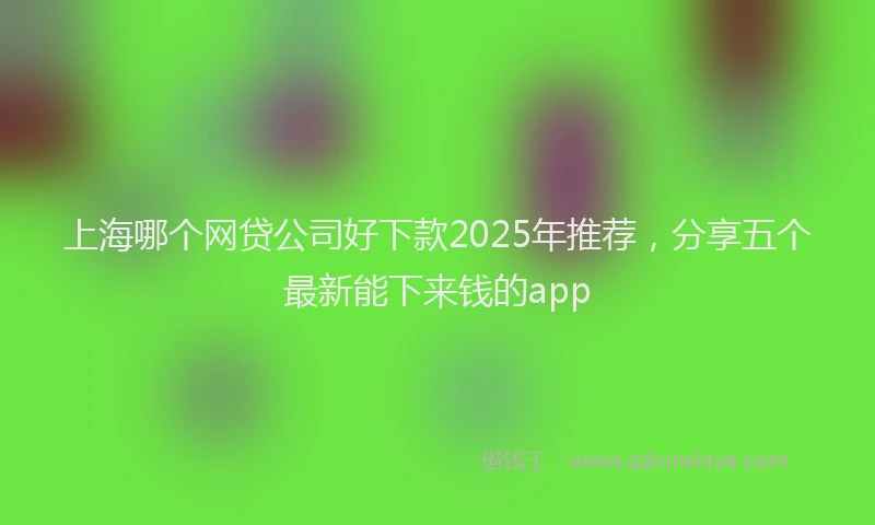 上海哪个网贷公司好下款2025年推荐，分享五个最新能下来钱的app