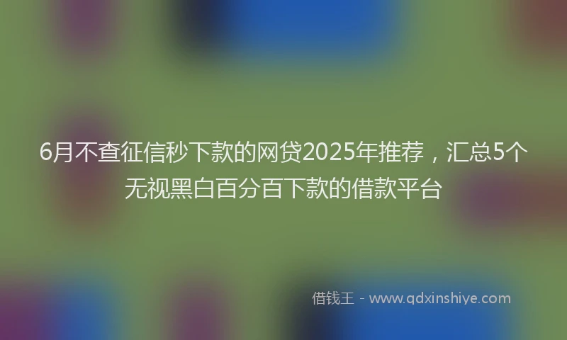 6月不查征信秒下款的网贷2025年推荐，汇总5个无视黑白百分百下款的借款平台