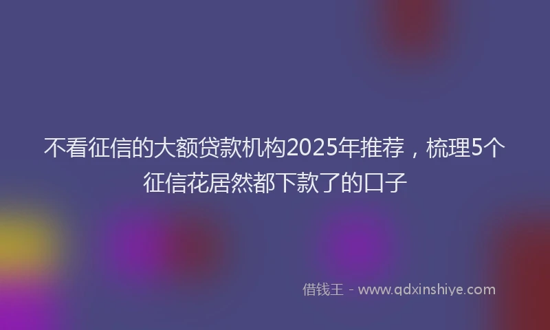 不看征信的大额贷款机构2025年推荐，梳理5个征信花居然都下款了的口子