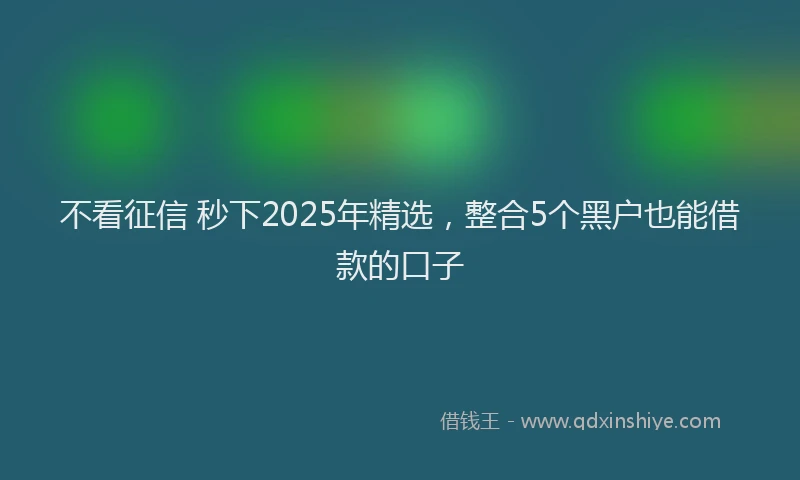 不看征信 秒下2025年精选，整合5个黑户也能借款的口子