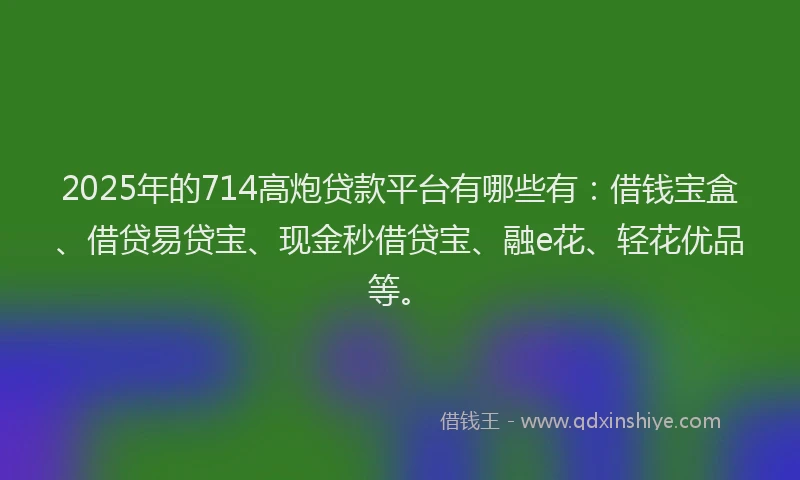 2025年的714高炮贷款平台有哪些有：借钱宝盒、借贷易贷宝、现金秒借贷宝、融e花、轻花优品等。