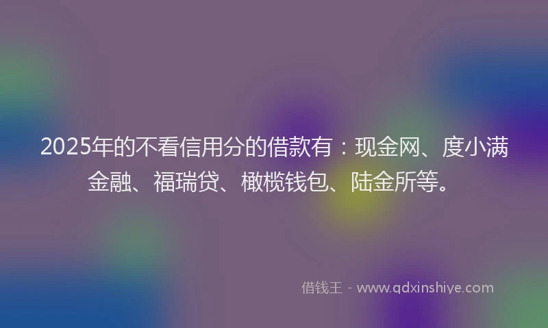 2025年的不看信用分的借款有：现金网、度小满金融、福瑞贷、橄榄钱包、陆金所等。