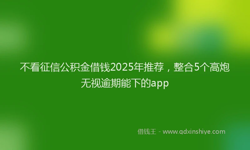 不看征信公积金借钱2025年推荐，整合5个高炮无视逾期能下的app