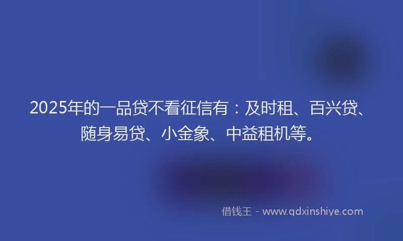 2025年的一品贷不看征信有：及时租、百兴贷、随身易贷、小金象、中益租机等。