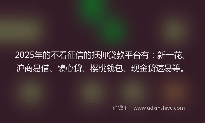 2025年的不看征信的抵押贷款平台有：新一花、沪商易借、臻心贷、樱桃钱包、现金贷速易等。