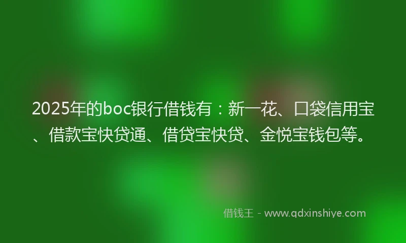2025年的boc银行借钱有：新一花、口袋信用宝、借款宝快贷通、借贷宝快贷、金悦宝钱包等。