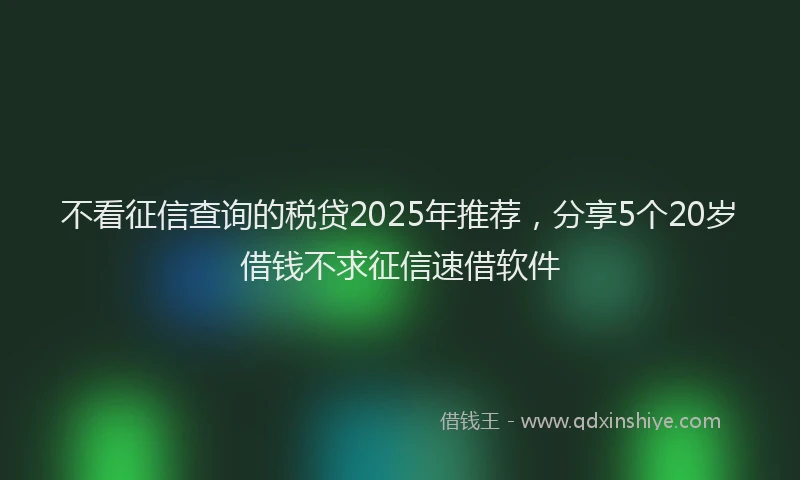 不看征信查询的税贷2025年推荐，分享5个20岁借钱不求征信速借软件