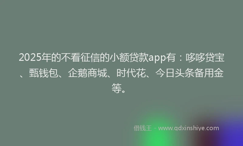 2025年的不看征信的小额贷款app有：哆哆贷宝、甄钱包、企鹅商城、时代花、今日头条备用金等。