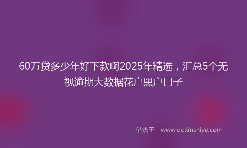 60万贷多少年好下款啊2025年精选，汇总5个无视逾期大数据花户黑户口子