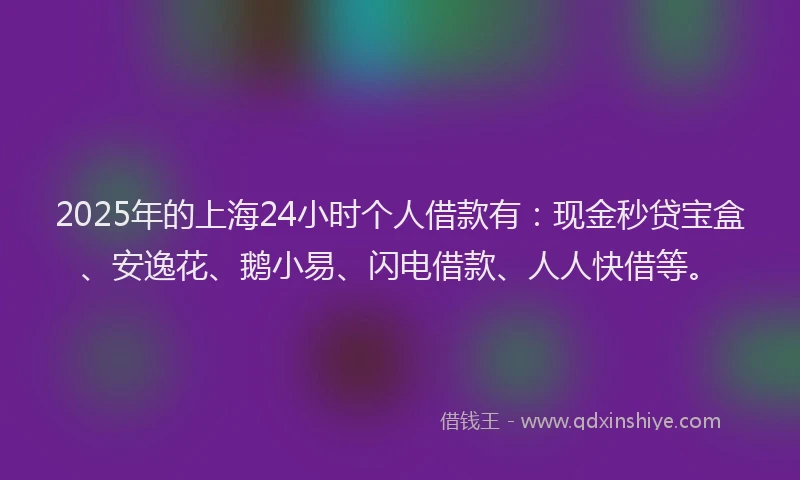 2025年的上海24小时个人借款有：现金秒贷宝盒、安逸花、鹅小易、闪电借款、人人快借等。