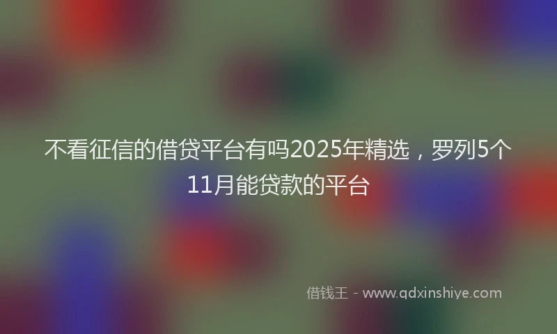 不看征信的借贷平台有吗2025年精选，罗列5个11月能贷款的平台